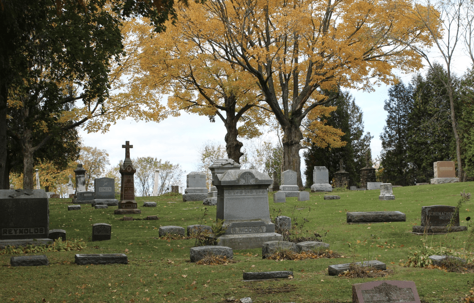 Cemtery Headstones and yellow tree