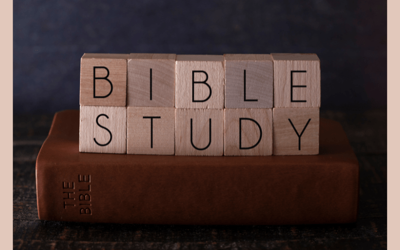 bible study web